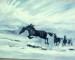 horses_in_snow336